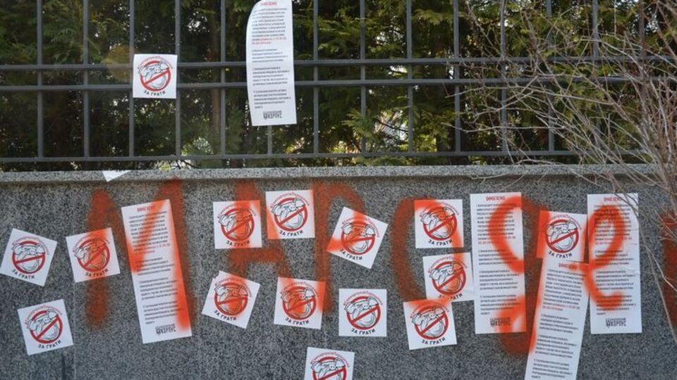 "Гладковские – люди экономные. С прошлого раза окна не вставляли". Дом сына первого замсекретаря СНБО забросали петардами. Фоторепортаж