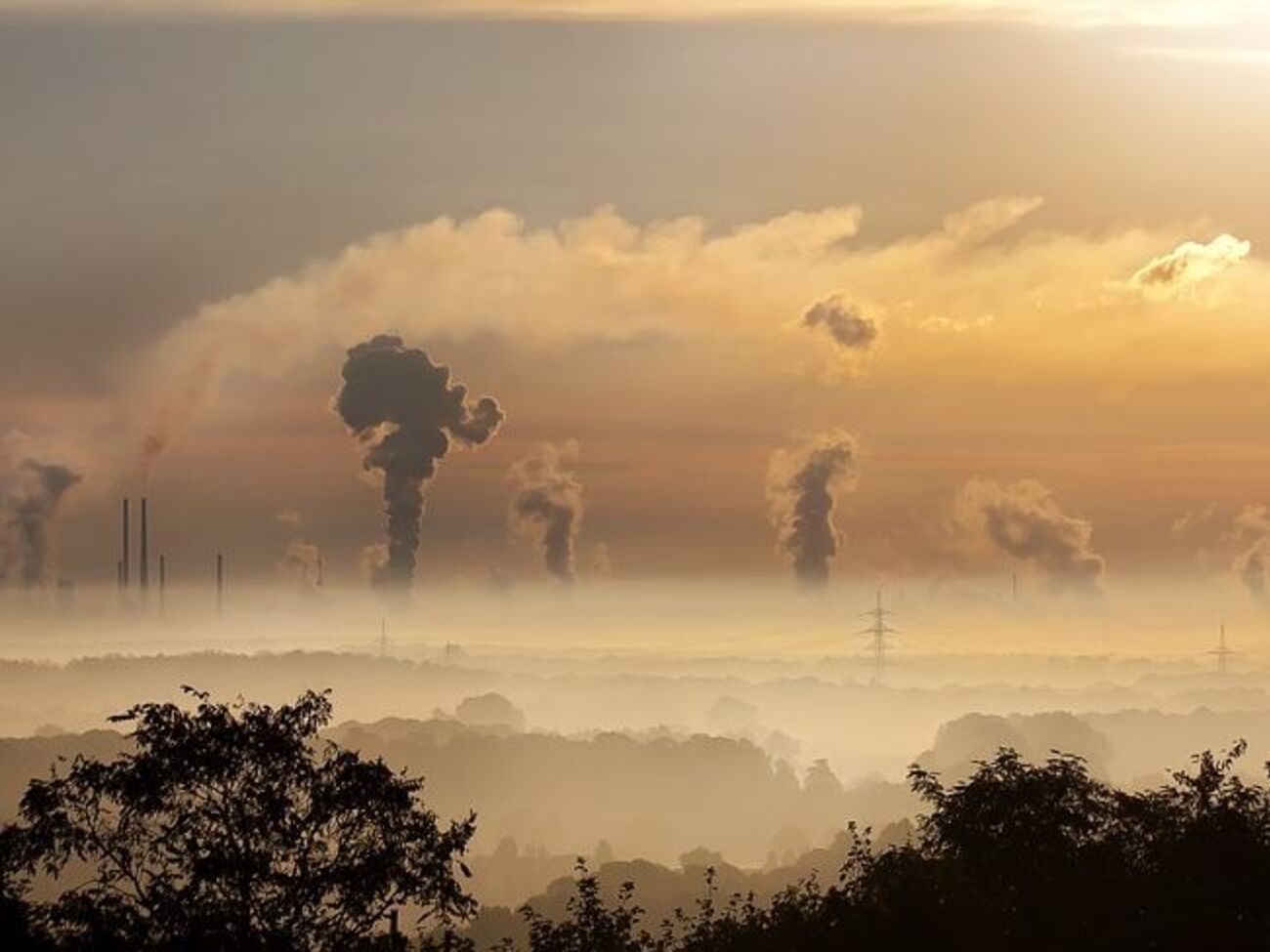 Самый загрязненный воздух в мире в Бангладеш, Индии и Пакистане
