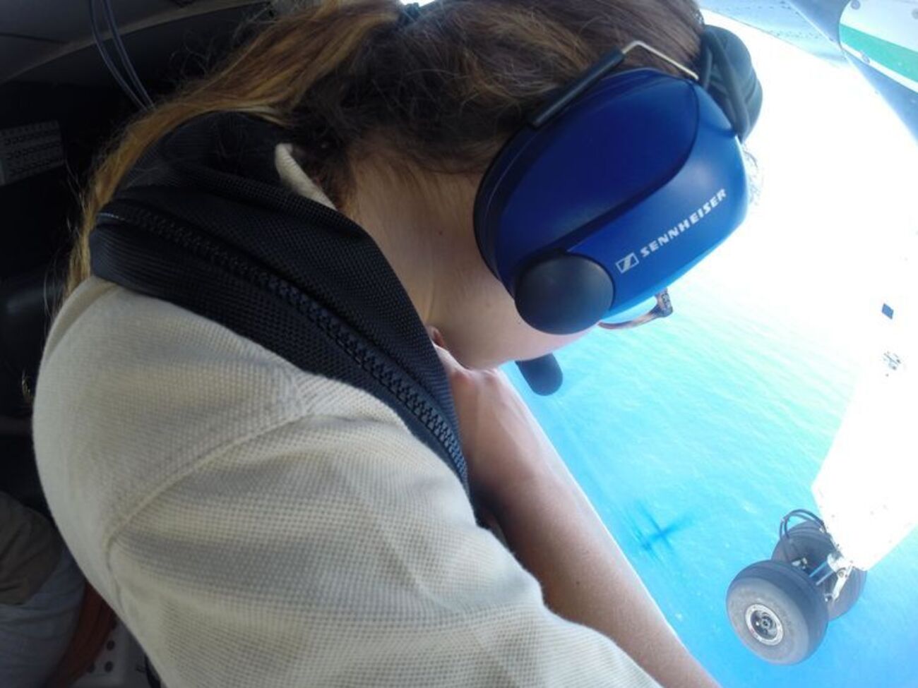 В исследовании примут участие ученые из Украины, Болгарии, Румынии, Турции и Монако