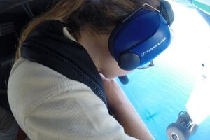 В исследовании примут участие ученые из Украины, Болгарии, Румынии, Турции и Монако