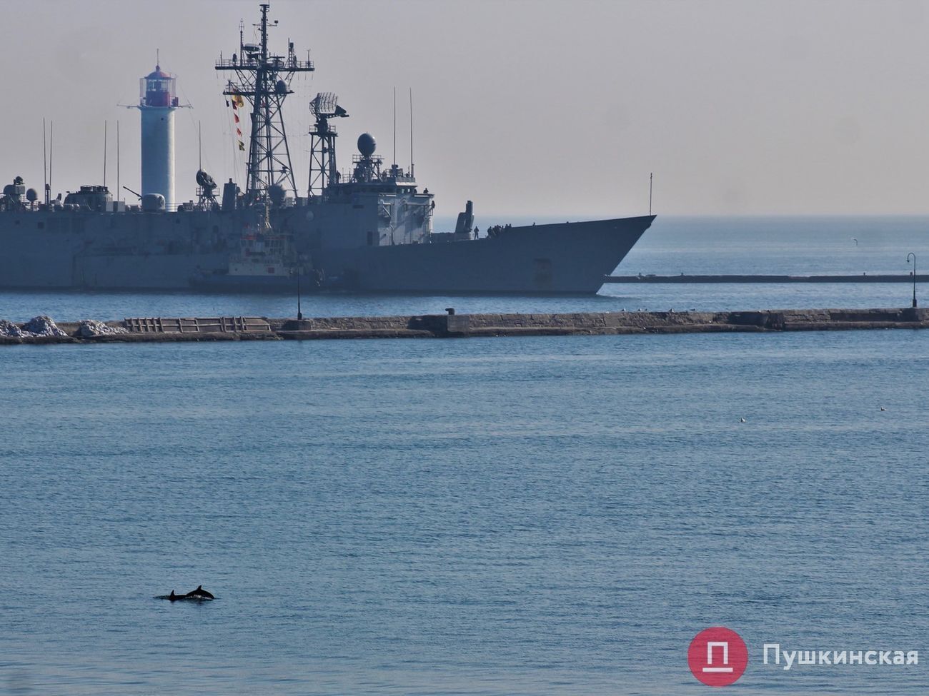 Santa Maria&nbsp;увійшла в порт Одеси у супроводі дельфінів