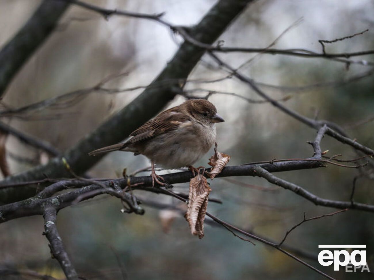 Потепление ожидается к концу недели