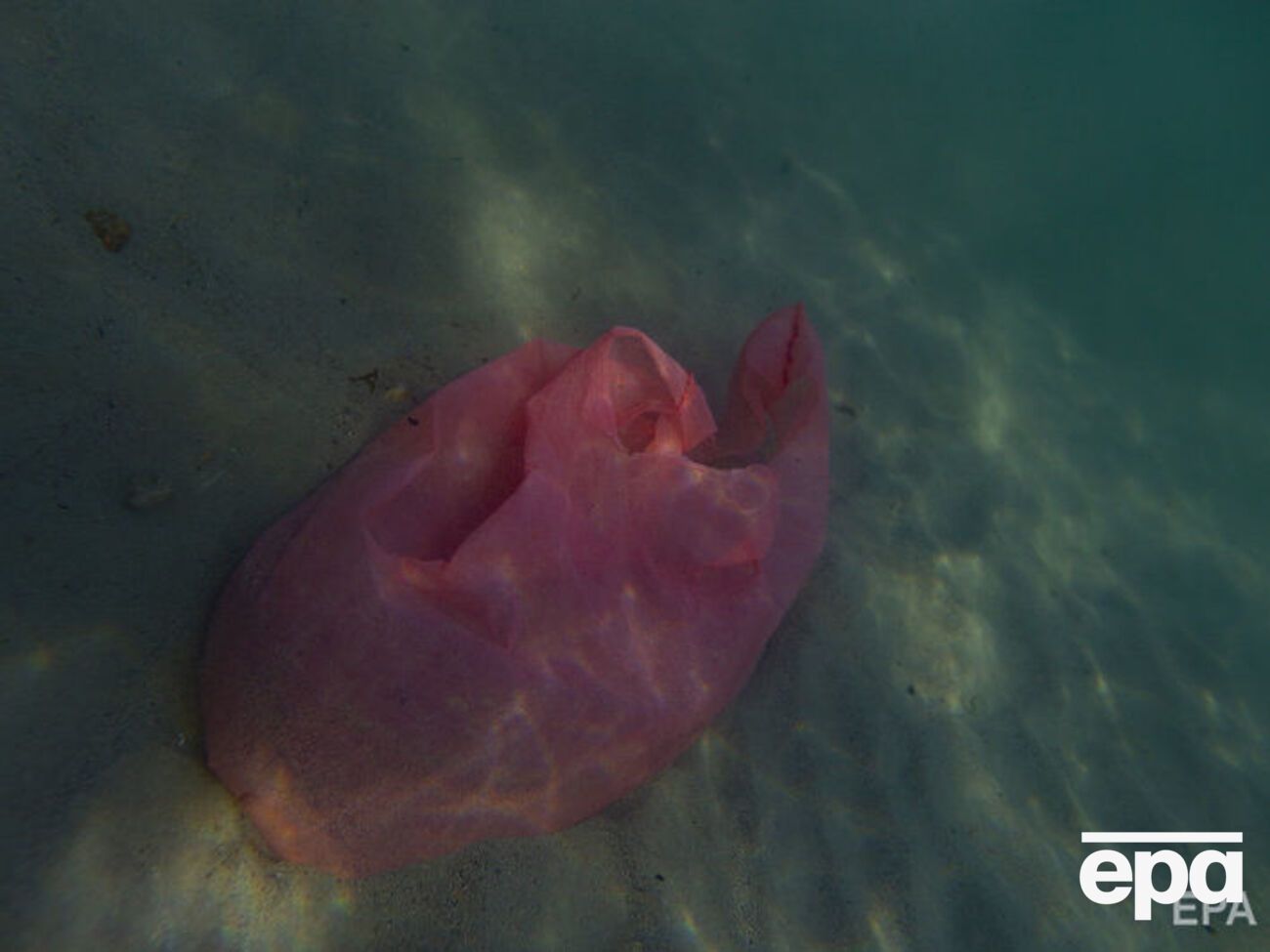 По данным Организации Объединенных Наций, к 2050 году в Мировом океане пластика будет больше, чем рыбы,&nbsp;если человечество не откажется от товаров из него