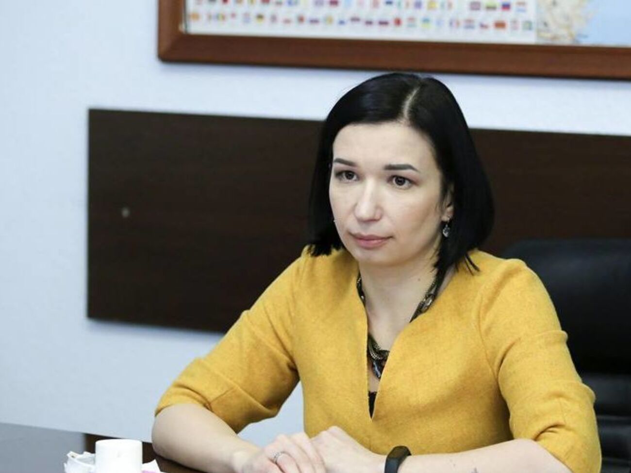 Переселенцы могут не принять участие во втором туре, подчеркивает Айвазовская