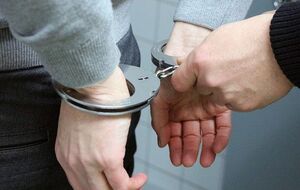 Підозрюваного затримали до того, як він здійснив злочинний задум, заявили в американській прокуратурі