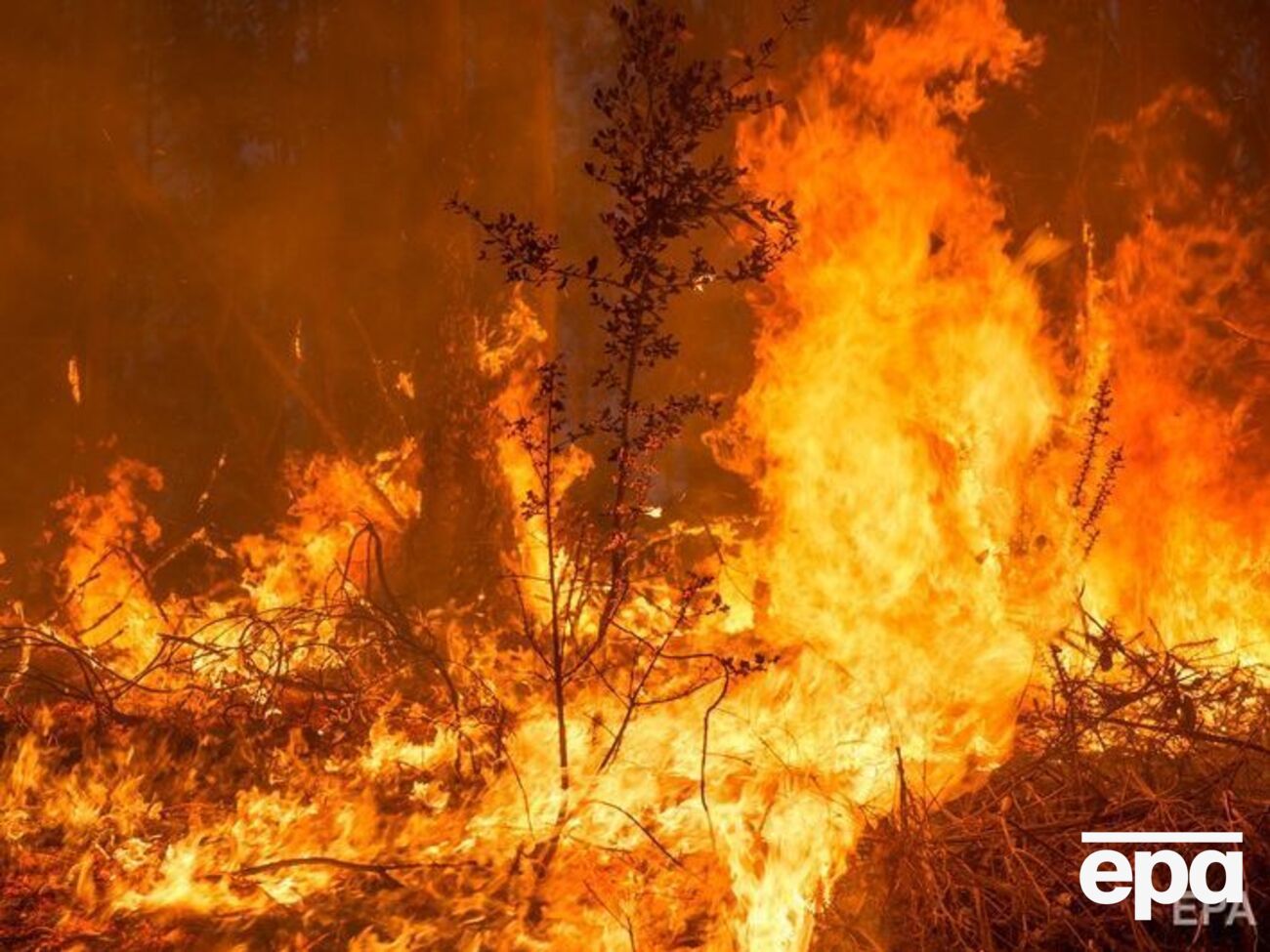 9 апреля произошло 317 возгораний на открытых территориях и в естественных экосистемах Украины