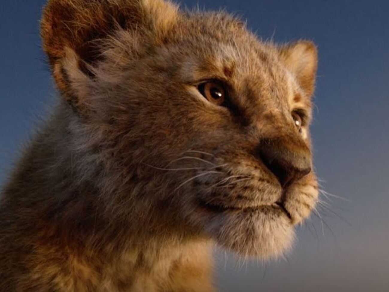 Головний герой &ndash; молодий лев Сімба