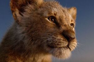 Головний герой – молодий лев Сімба