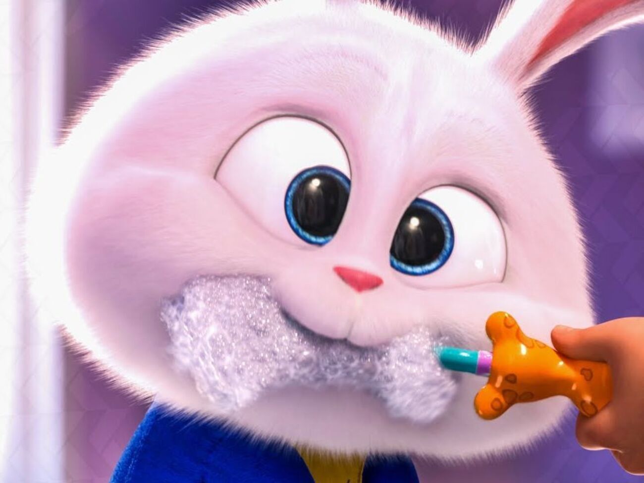 Головні герої мультфільму&nbsp;&ndash; домашні тварини