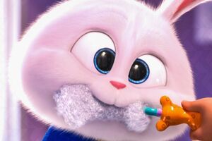 Головні герої мультфільму – домашні тварини