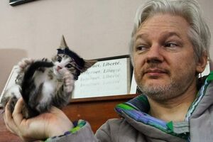 Кота Ассанжу подарували його діти