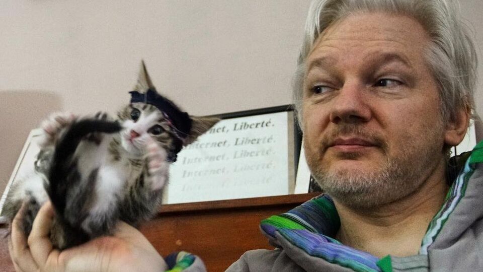 Кота Ассанжу подарували його діти
