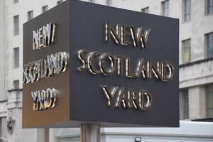 В Скотланд-Ярде сообщили о задержании злоумышленника