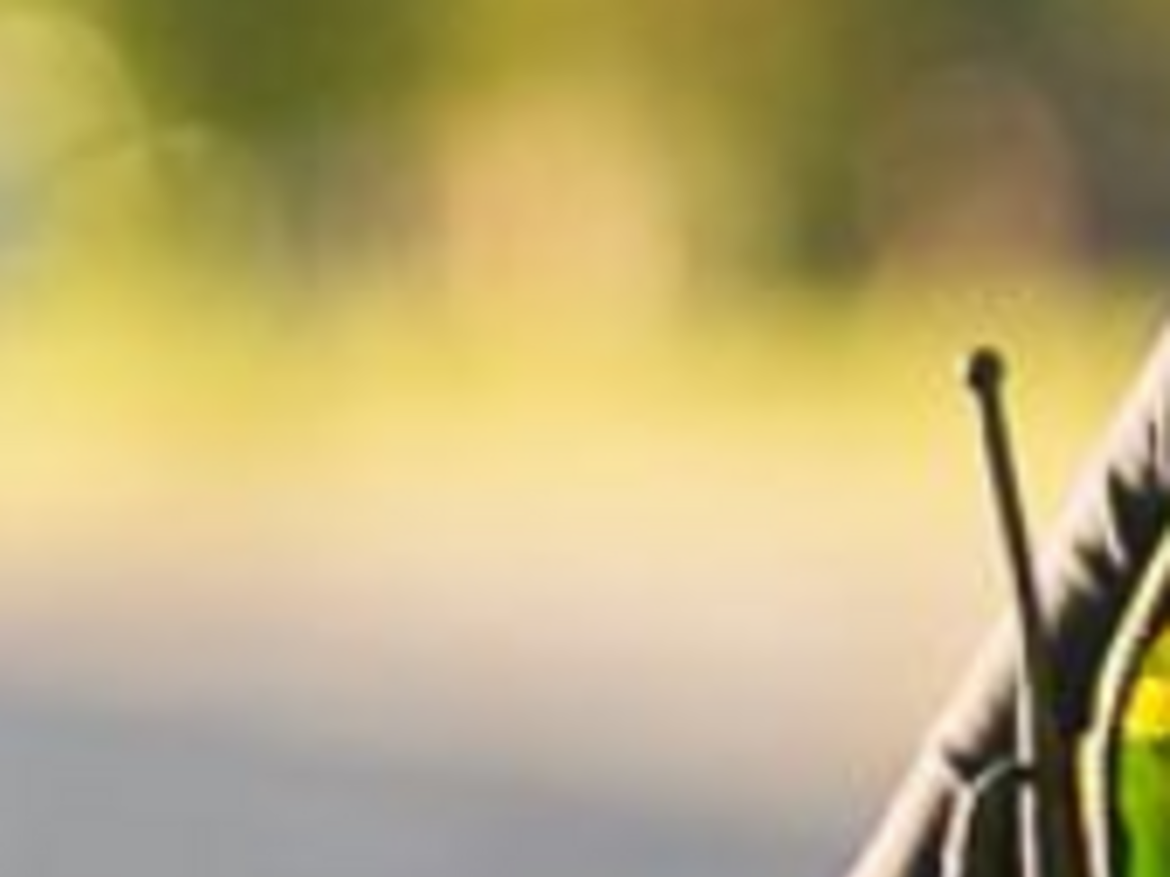 Полиция выясняет все обстоятельства стрельбы