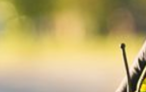 Полиция выясняет все обстоятельства стрельбы