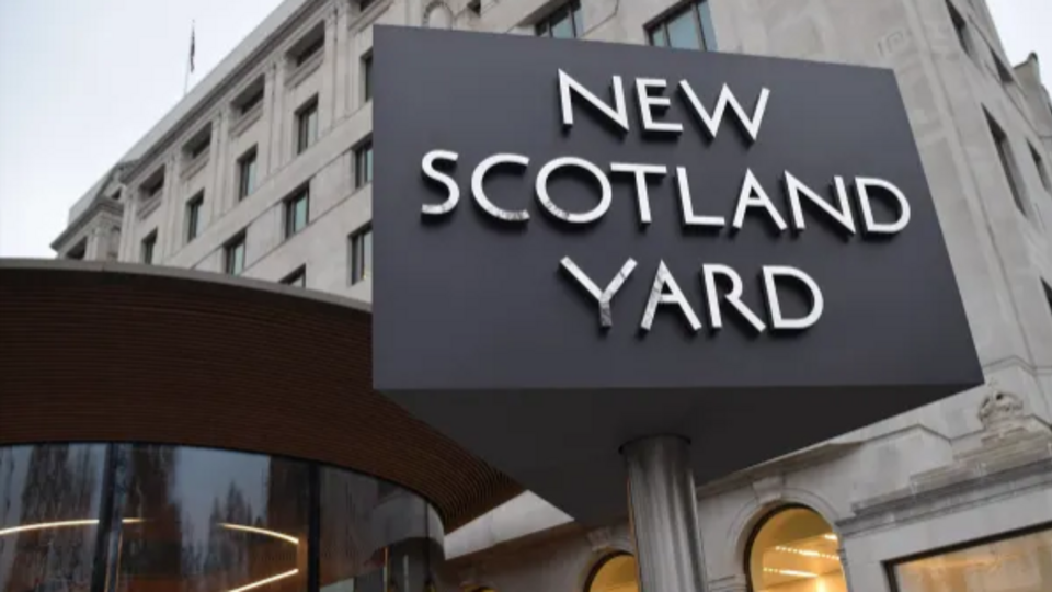 В Скотланд-Ярде не уточняют характер психического расстройства человека, таранившего машину украинского посла