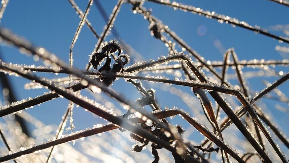 Температура повітря опуститься нижче від нуля