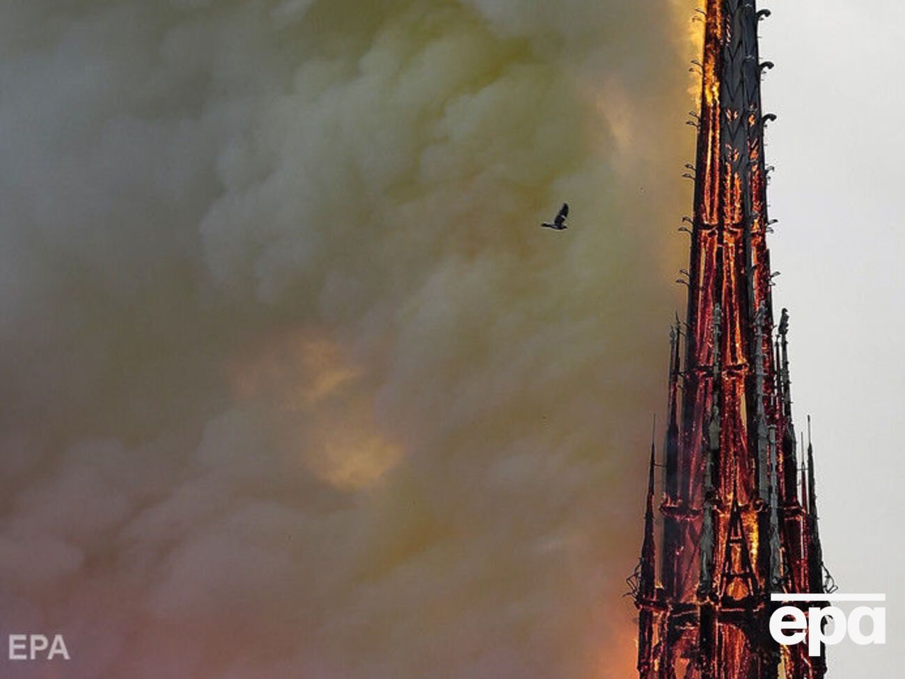 Роман Гюго побил рекорды продаж после пожара&nbsp;в соборе Парижской Богоматери