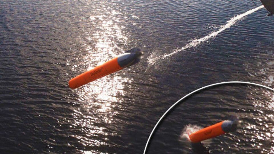 Німеччина успішно випробувала торпеду-перехоплювач, а в Росії їх використовують уже досить давно. США свій проект реалізовувати не будуть