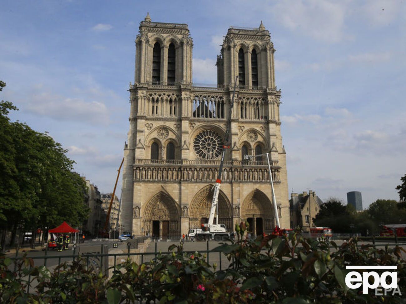 Пчелы живут на крыше собора