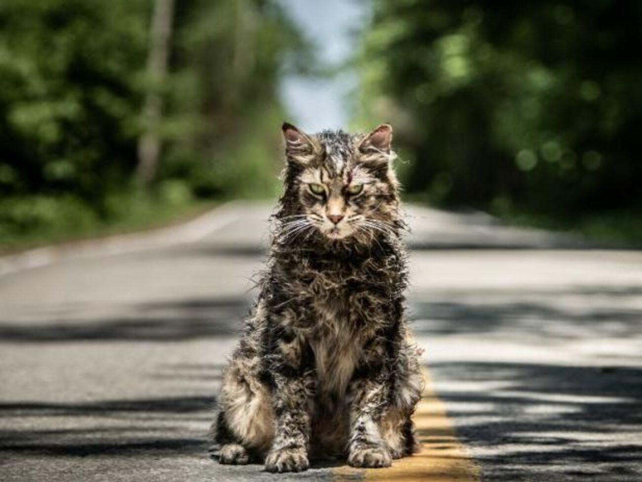 Мировая премьера запланирована на 4 апреля 2019 года