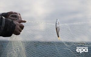 В Украине начался нерестовый запрет на вылов рыбы
