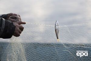 В Україні розпочалася нерестова заборона на виловлювання риби