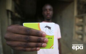 Ежегодно в Африке от малярии умирает 250 тыс. детей