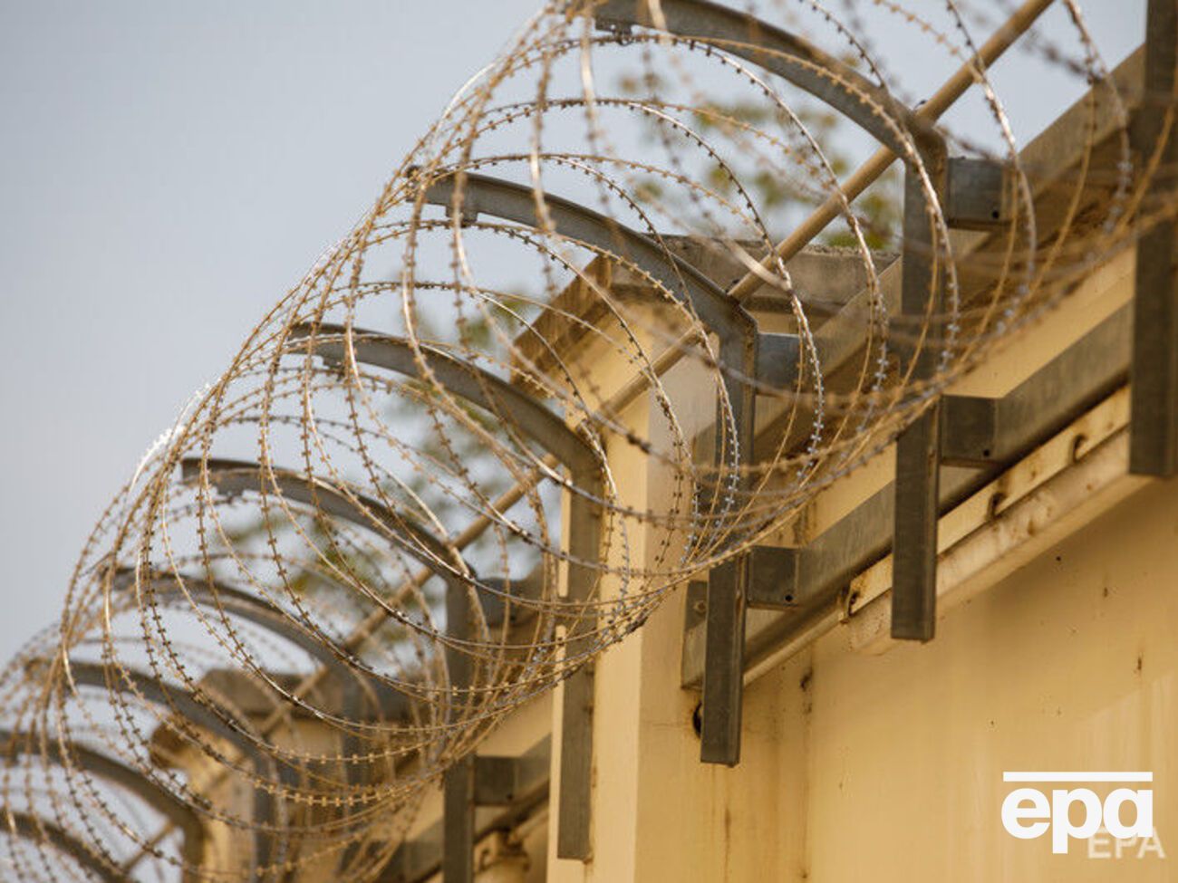 В отношении гражданки Украины в Грузии открыли уголовное дело