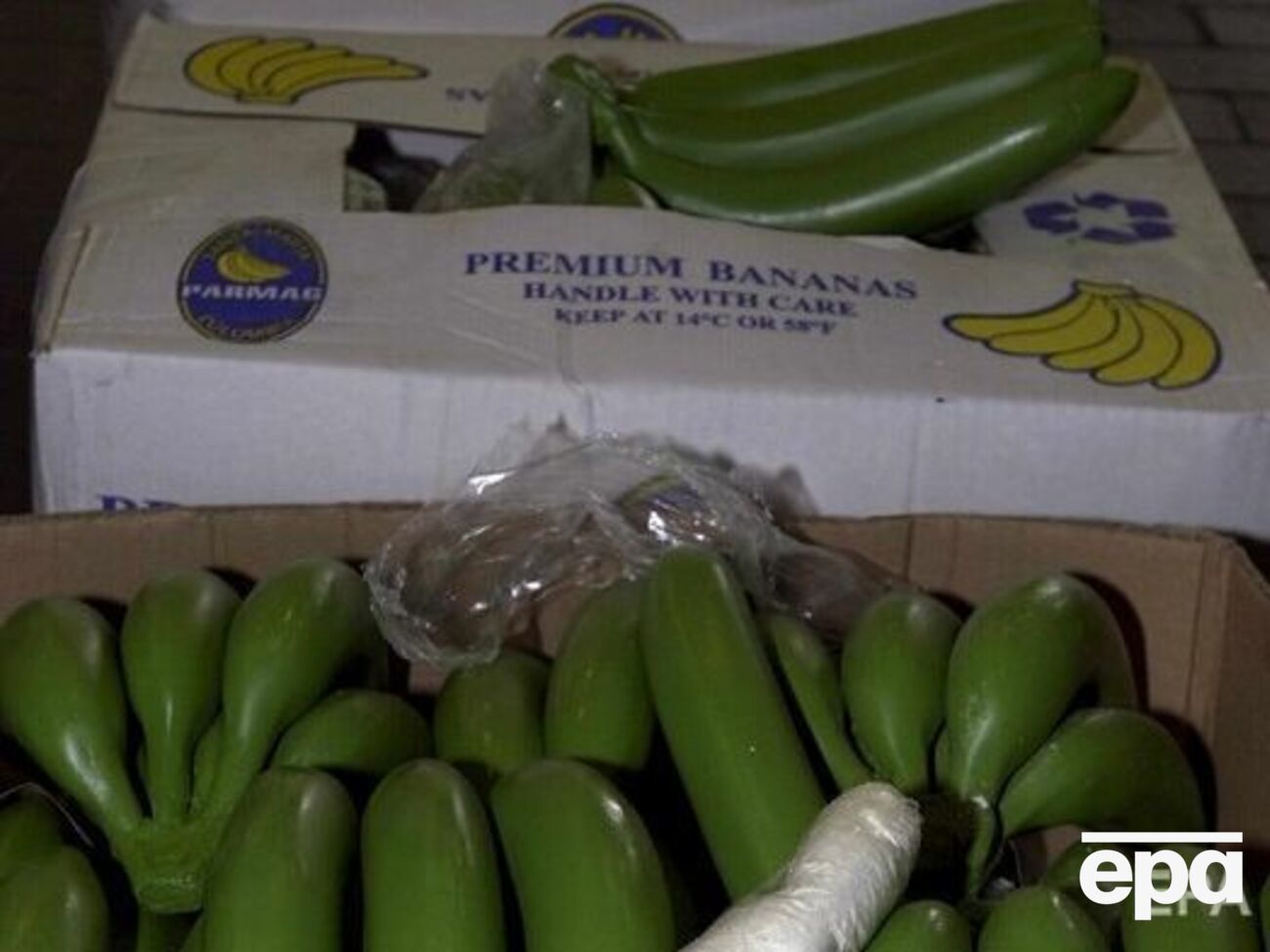 Найчастіше наркотики з Південної Америки намагаються провезти разом із вантажем бананів