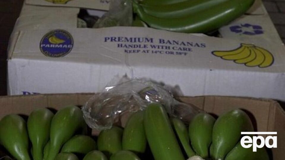 Найчастіше наркотики з Південної Америки намагаються провезти разом із вантажем бананів