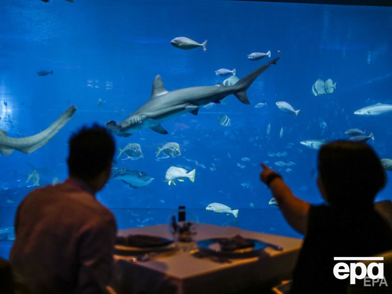 Последнее животное погибло 25 апреля