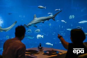 Последнее животное погибло 25 апреля