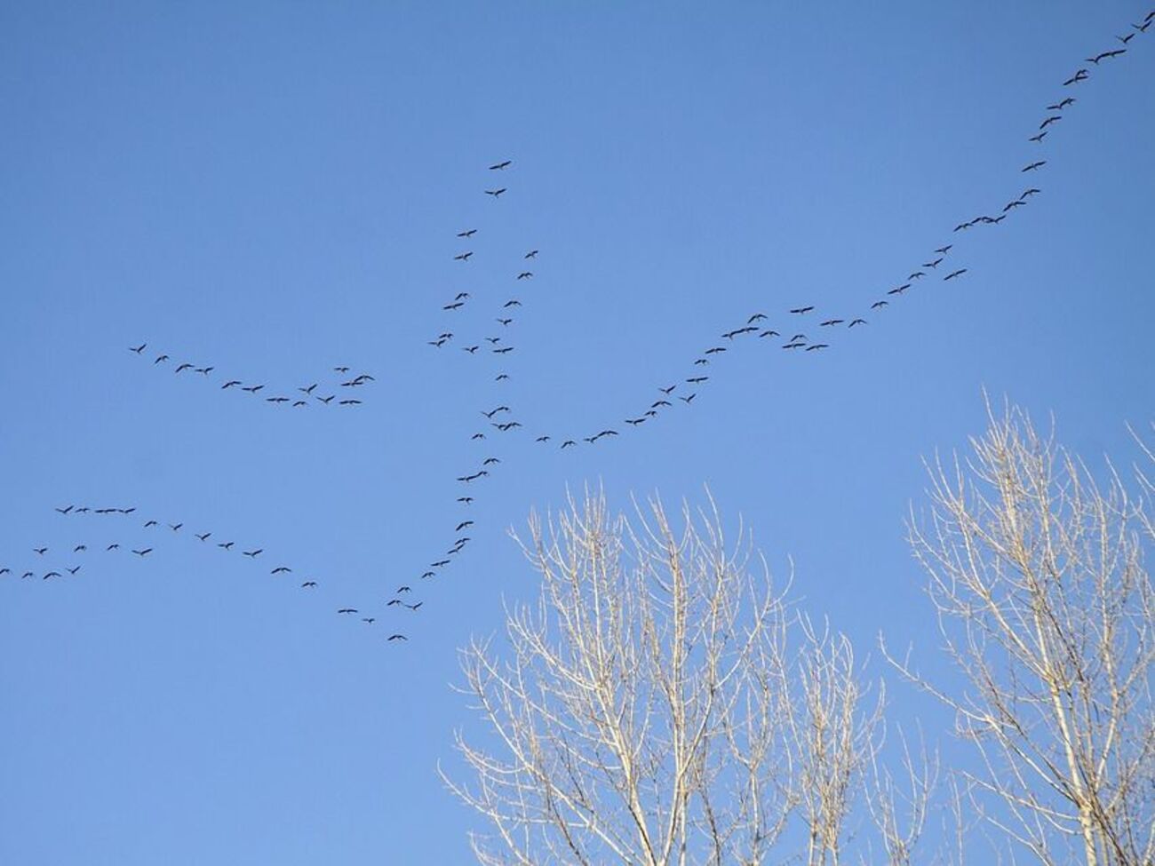 Днем в Украине ожидается +6…+11 °C