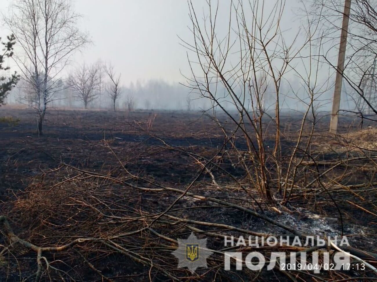 Пожежа знищила рослинність і занедбані будинки