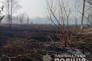 Пожар уничтожил растительность и заброшенные дома