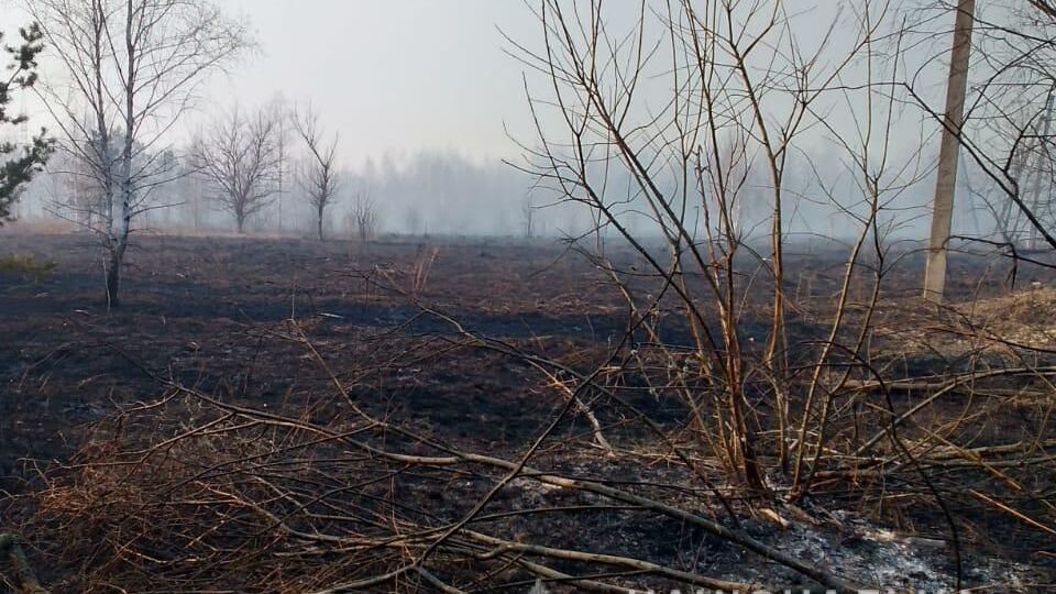 Пожежа знищила рослинність і занедбані будинки