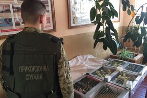 Попугаев передадут ГФС