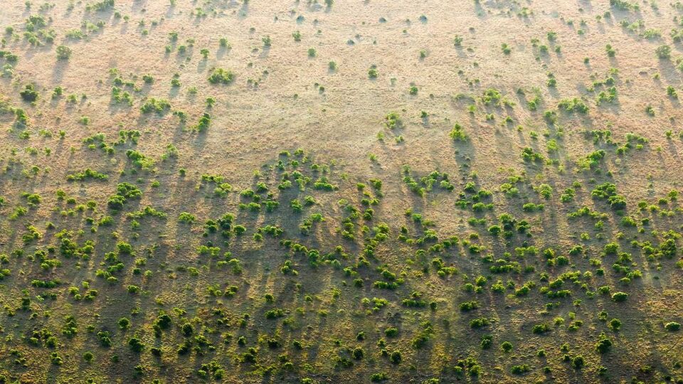 Планують, що стіна займе площу 8 тис. км