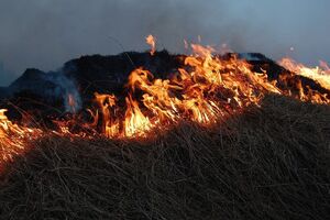 ДСНС: Незважаючи на застереження рятувальників, громадяни продовжують спалювати суху рослинність у вітряну погоду