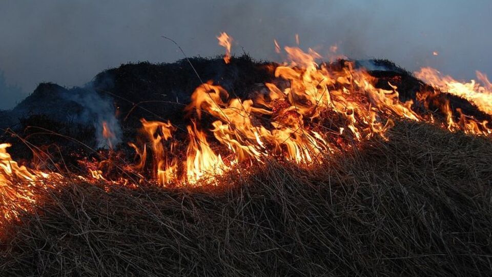 ГСЧС: Несмотря на предостережения спасателей, граждане продолжают сжигать сухую растительность в ветреную погоду