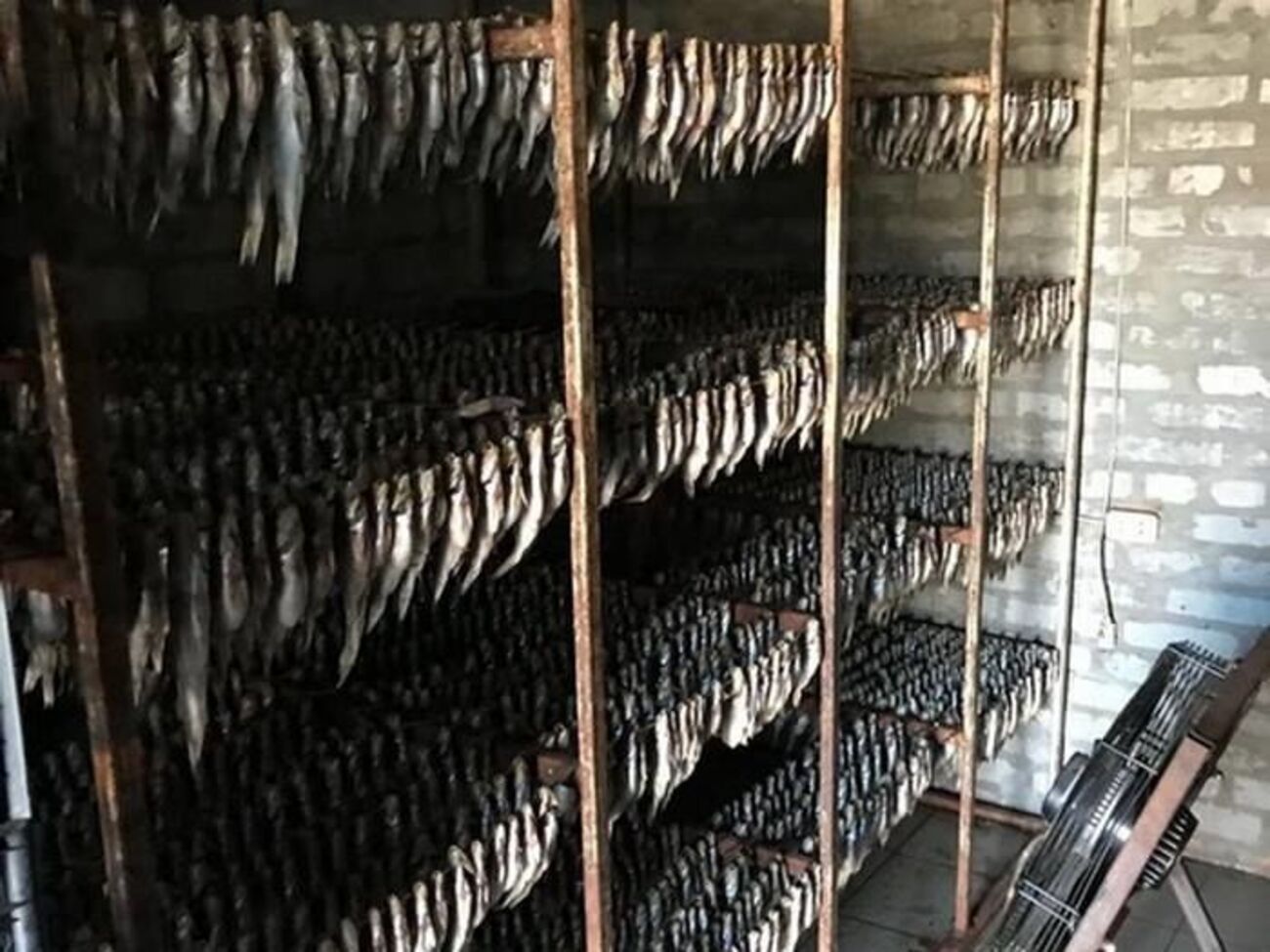 СБУ изъяла&nbsp;более 100 тонн рыбы, подготовленной для реализации в Киеве, Днепре и Харькове