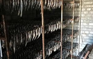 СБУ изъяла более 100 тонн рыбы, подготовленной для реализации в Киеве, Днепре и Харькове