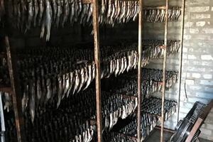 СБУ изъяла более 100 тонн рыбы, подготовленной для реализации в Киеве, Днепре и Харькове