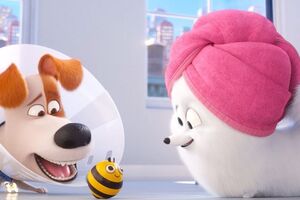 В ролике появился новый герой --- пчела Бизи Би