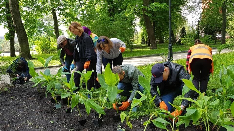 У Києві діячі мистецтв висадили квіти на знак пам'яті про Сенцова та інших політв'язнів. Фоторепортаж
