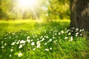 В Україні можна очікувати потепління