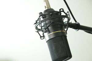 Декларації подало майже 200 учасників сфери шоу-бізнесу