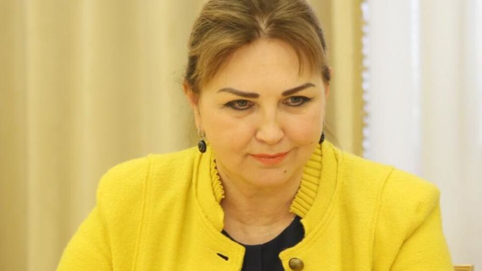 14 травня Наталія Шаптала очолила Конституційний Суд України