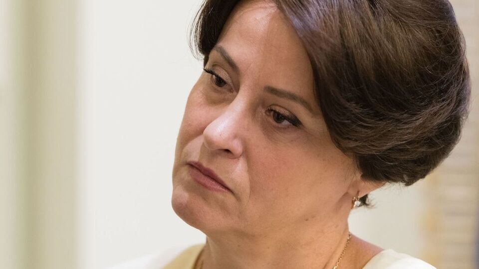Южаніна: Це має бути підзаконний акт, розроблений ДФС, погоджений із Мінфіном і Мінсоцполітики